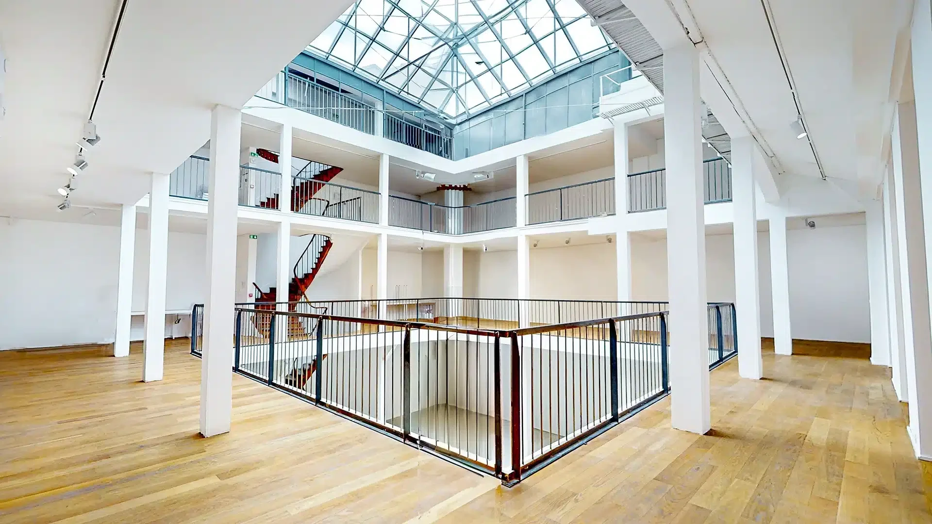 Le showroom de l'évolution
