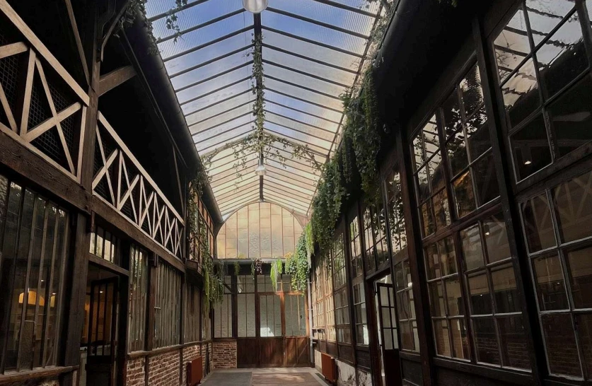 Loft Bio