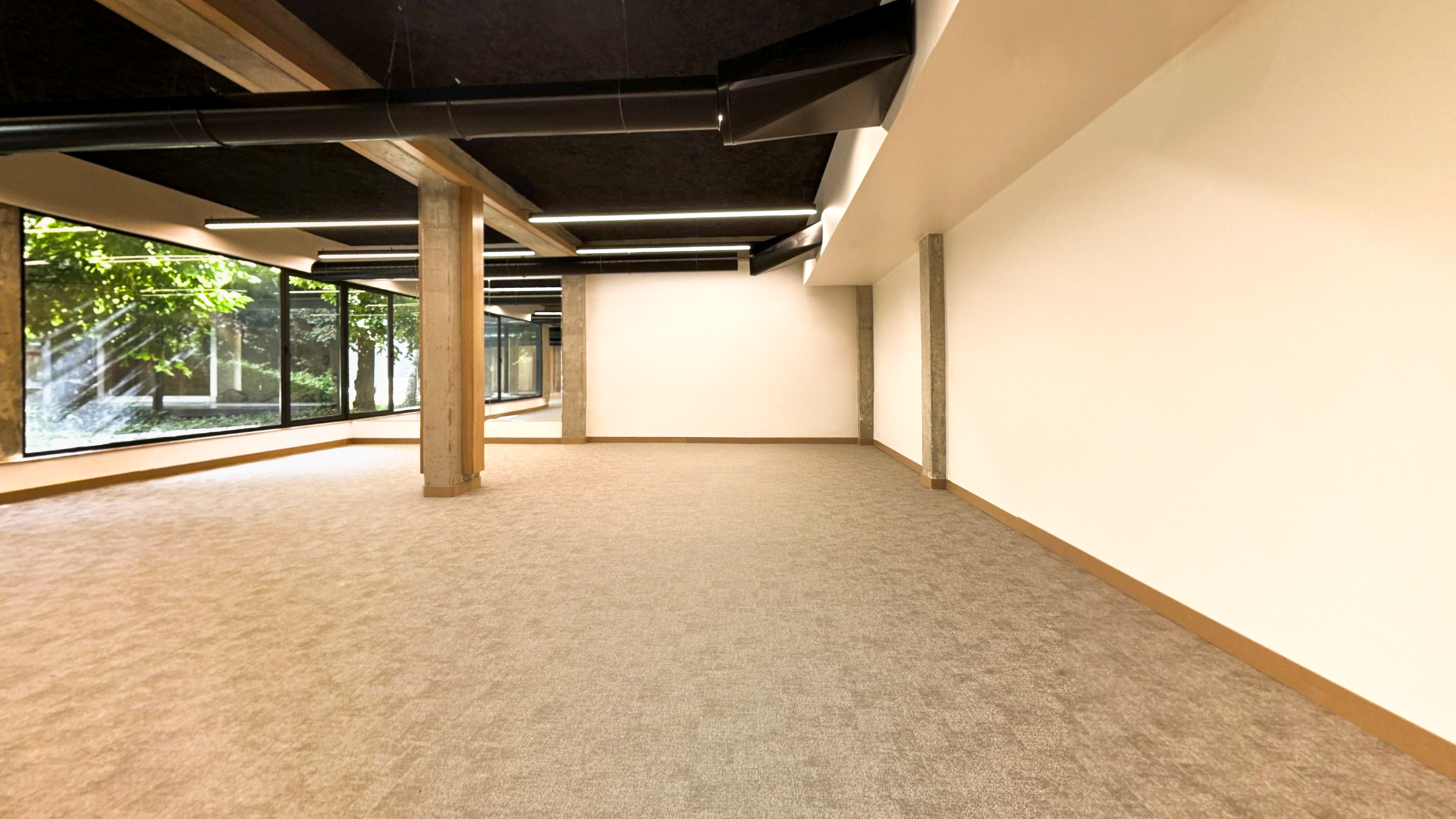 Showroom 700