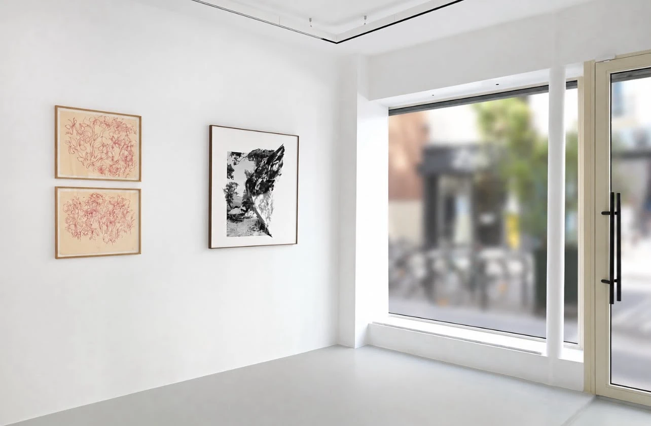 Showroom Elina - Photo 3